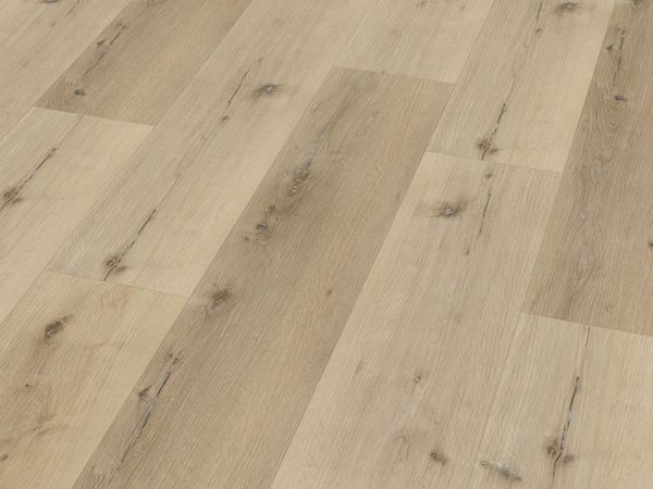 Klebe-Vinyl CHECK expert 2045E Hellweg Eiche Breitdiele Premium